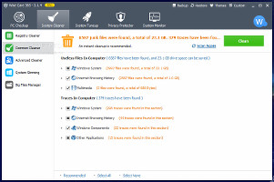 Showing the common cleaner in WiseCare 365 Pro